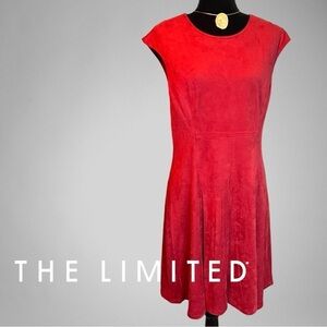 The Limited Faux Suede Leather Pleated A Line Fit and Flair Dress NWT